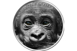 На монете Камеруна изображена горилла (1000 франков КФА)