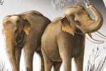 Коллекционеры могут купить монету «Фэн-шуй - слоны»