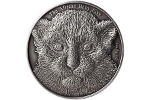 Монета «Леопард» имеет ультравысокий рельеф