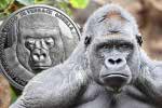 «Серебряная горилла» - новая инвестиционная монета