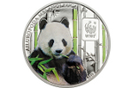 Большая панда оказалась на коллекционной монете