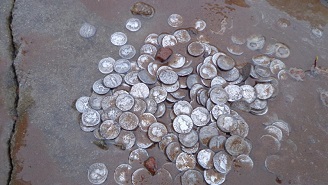 Житель Калининградской области обнаружил римские монеты у себя на участке