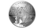 В Канаде представили двойную вогнутую монету «Бурый медведь»