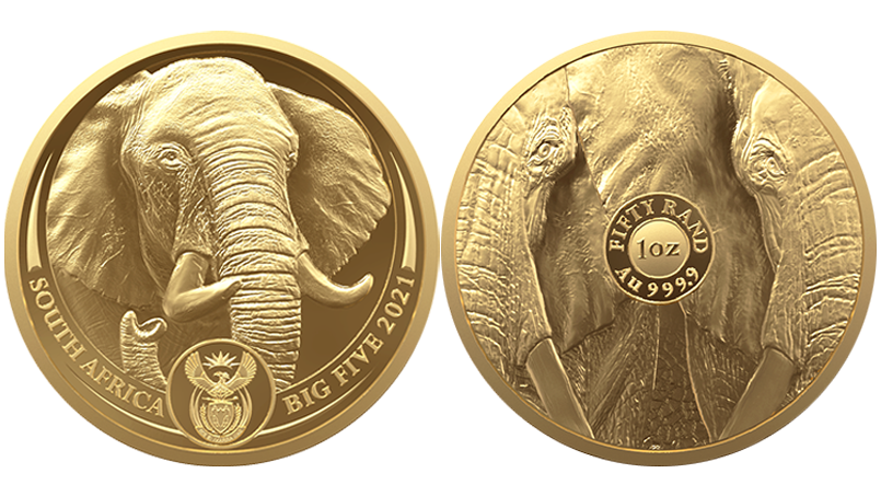Слон ‒ Большая африканская пятерка