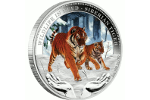 «Сибирский тигр» - новая монета серии «Дикая природа в беде»