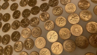 750 монет пропали из элитного посёлка