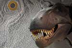 Динозавр смотрит на вас с килограммовой серебряной монеты