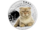 В Польше изготовили монету «Шотландская вислоухая кошка»