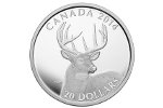 На монете Канады оказался белохвостый олень