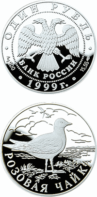 Розовая чайка