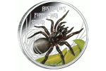 Воронковый паук «забрался» на монету (1 доллар)