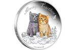 «Всегда вместе» - подарочная серебряная монета