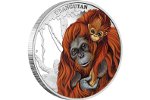 На монете Тувалу изобразили орангутанов