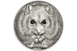 С серебряной монеты смотрит хомячок Кэмпбелла