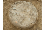 В Уэльсе найден клад медной римской антики