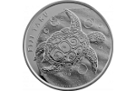 Черепаха Таку вновь попала на серебряную монету