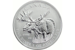 Лось украсил канадскую монету номиналом 5 долларов