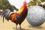 Инвестиционные монеты «Год Петуха» отчеканили в Канаде