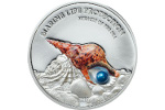 Монета «Морское чудо»: высокий рельеф и жемчужная вставка