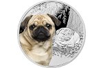 В серии «Друзья человека – собаки» пополнение: монета «Мопс»