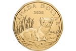 Черноногий хорек – возвращение вымершего вида на монете Канады