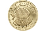 На монетах Палау изобразили зебровидных дасциллов