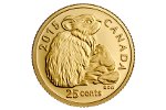 «Пищуха» - новая золотая монета Канады