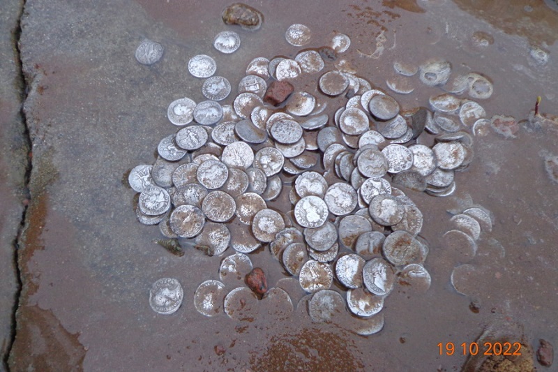 Житель Калининградской области обнаружил римские монеты у себя на участке