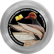 «Красноносый нырок» на цветной монете Приднестровья