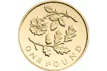 Новый дизайн однофунтовых монет Великобритании