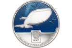 На серебряной монете изображен синий кит
