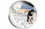 Седьмая монета в серии «Австралийская антарктическая территория»