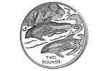 Крестовидный дельфин попал на памятную монету