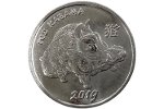 Монету «Год Кабана (Свиньи)» представили в Приднестровье