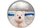 На монете африканской страны отчеканили полярного медведя
