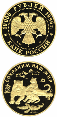 Амурская тигрица с детенышами