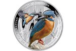 «Зимородок» - первая монета серии «Удивительный мир птиц»
