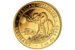 В дизайне серебряной монеты «Слон» допущена ошибка!