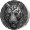 Бенгальский тигр Кот-д 'Ивуара открывает "Большую" серию