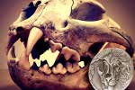 «Череп азиатского льва» - монета с высоким рельефом