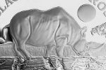 Серебряная монета Ниуэ: носорог и его отражение