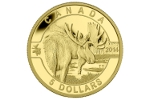 На золотой монете Канады изобразили лося