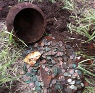 Американская садовница нашла клад во время уборки 