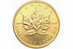 Монета-гигант выставлена на продажу