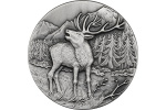 На коллекционной монете изображен благородный олень