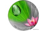 Изображая каплю: монета «Эффект лотоса»