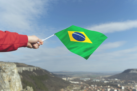 Уникальная фауна Бразилии на современных банкнотах страны