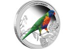 Монета «Многоцветный лорикет» пополнила серию «Птицы Австралии»