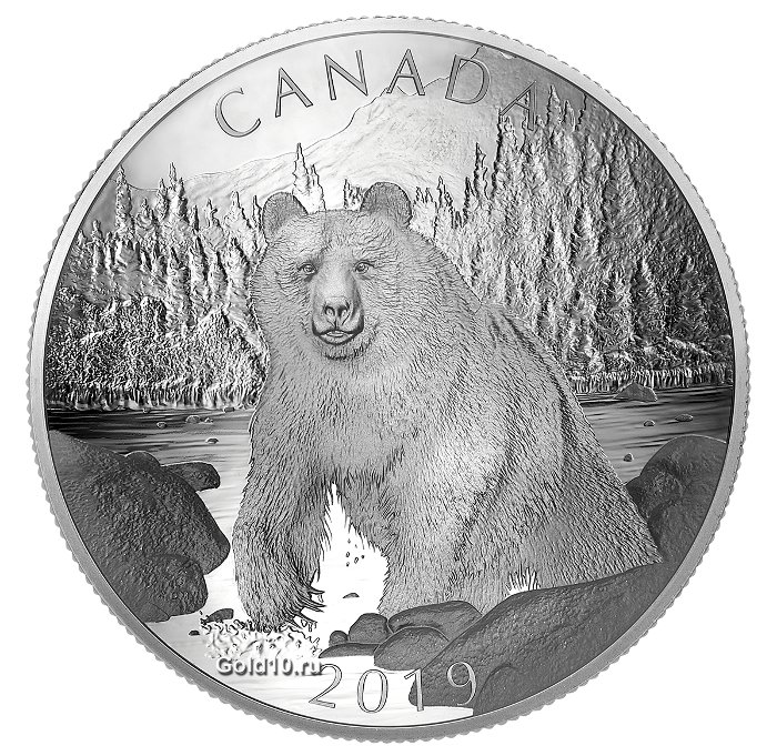 Монета «Бурый медведь»