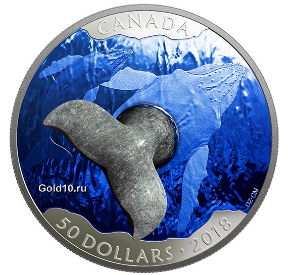 Монета «Горбатый кит»